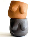 Plant Pot