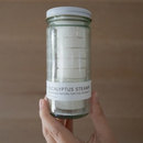 Eucalyptus Shower Melts