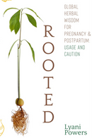 Rooted: Herbs for Pregnancy & Postpartum Ebook