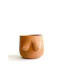 Plant Pot