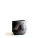 Plant Pot