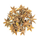 Anise Star : Illicium verum
