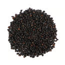 Elderberries: Sambucus Nigra