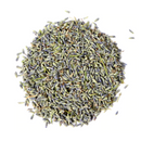 Lavender : Lavandula Angustifolia