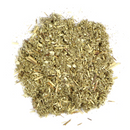 Mugwort : Artemisia Vulgaris