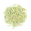 Oat Tops :  Avena Sativa
