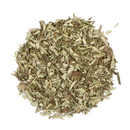 Olive Leaf : Olea Europaea