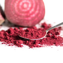 Organic Beet Root Powder : Beta Vulgaris