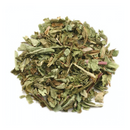 Dandelion Leaf : Taraxacum Officinale