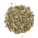 Echinacea : Echinacea Angustifolia