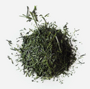 Green Sencha Tea