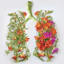 Lung Tonic Tea