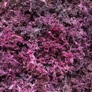 Sea Moss Gel