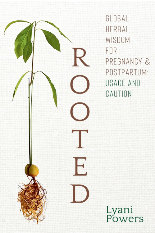 Rooted: Herbs for Pregnancy & Postpartum