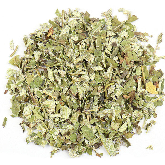 Yerba Santa : Eriodictyon californicum