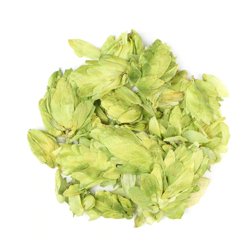 Hops : Humulus Lupulus