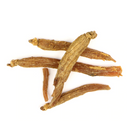 Red Ginseng Root Whole : Panax ginseng