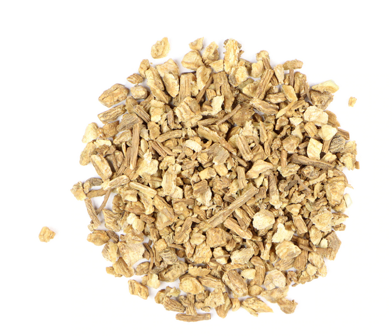 Dong Quai : Angelica Sinensis