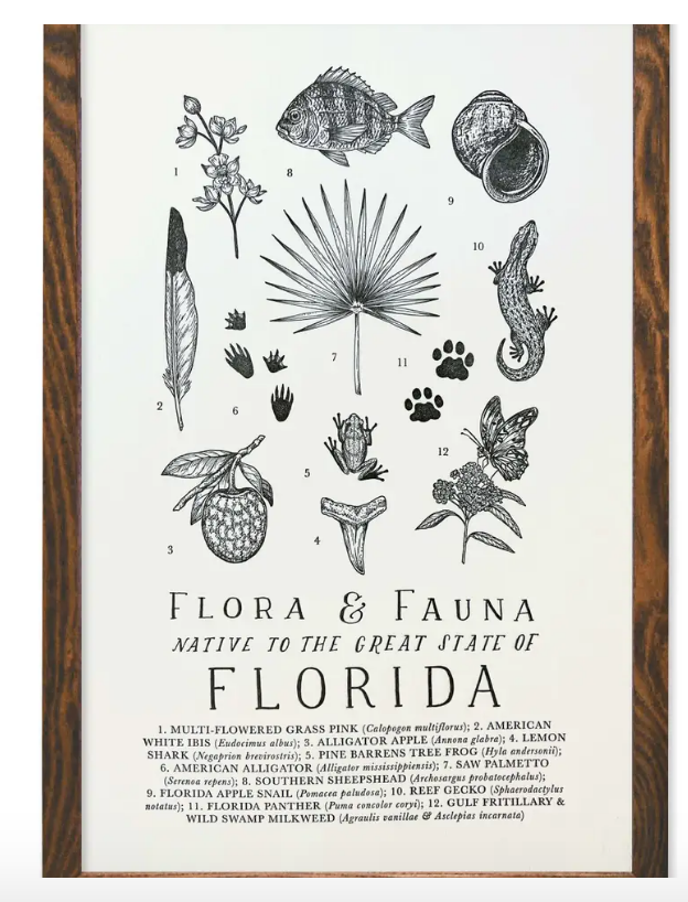 Florida Field Guide Print